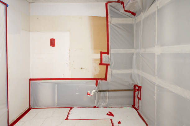 Mold Remediation for Rental Properties in Weston, WV