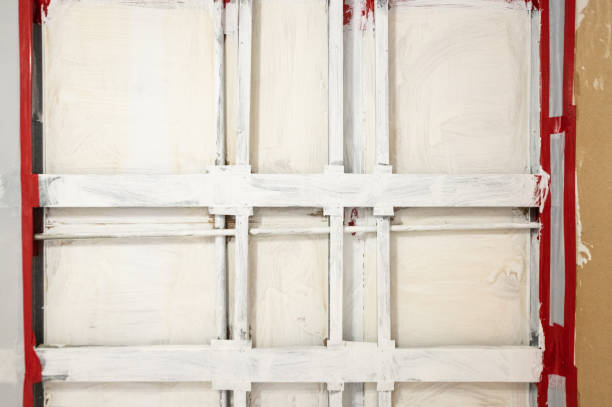 Best Biohazard Mold Removal  in Weston, WV