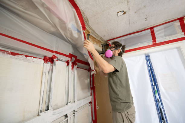 Best Mold Remediation for Rental Properties  in Weston, WV