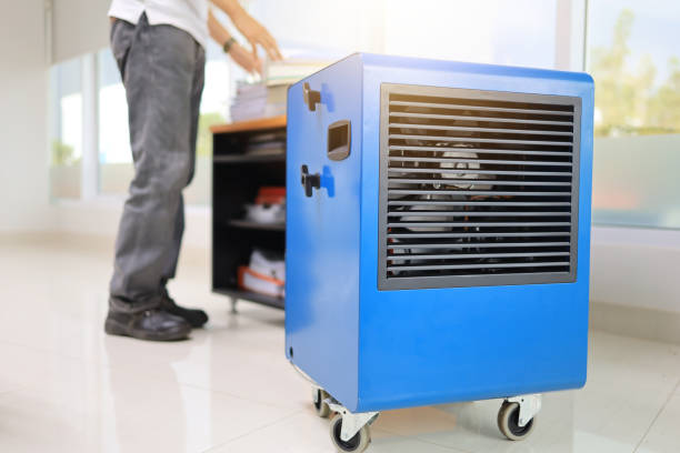 Best Commercial Mold Inspection  in Weston, WV