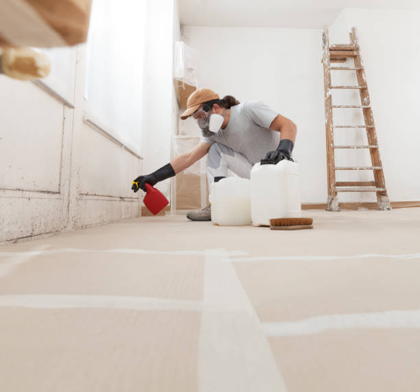 Best Air Quality Testing for Mold Spores  in Weston, WV
